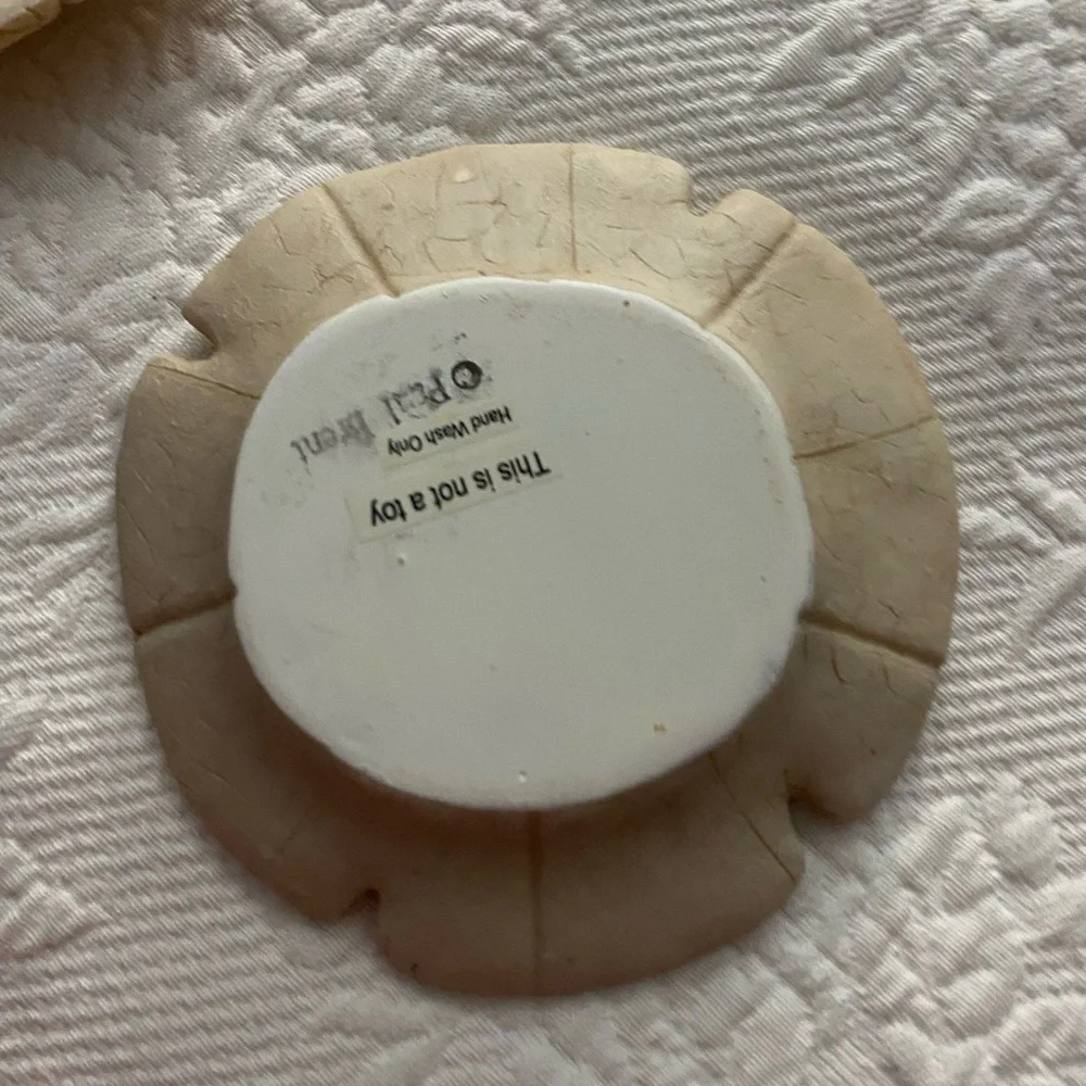 Sand Dollars and shell Decor Set - Picture 5 of 11
